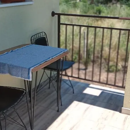 за гости пансионът на роуз вълшебната ми кръстница Homestay