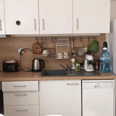 за гости пансионът на роуз вълшебната ми кръстница Homestay *