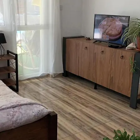 за гости пансионът на роуз вълшебната ми кръстница Homestay