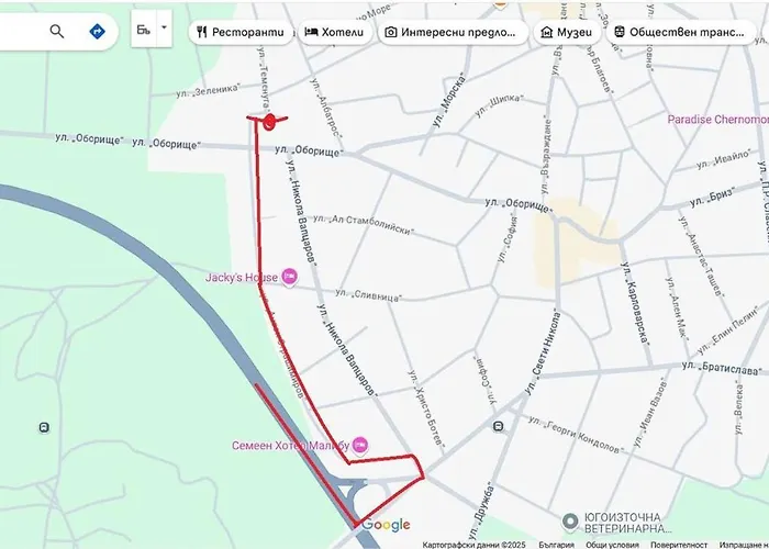 за гости пансионът на роуз вълшебната ми кръстница Gazde/Camere de închiriat *