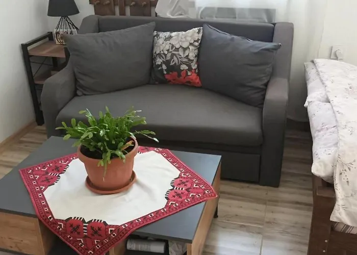 民宿 за гости пансионът на роуз вълшебната ми кръстница *